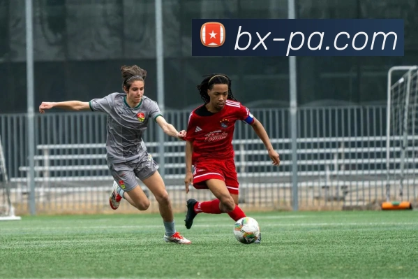 App Interface Preview